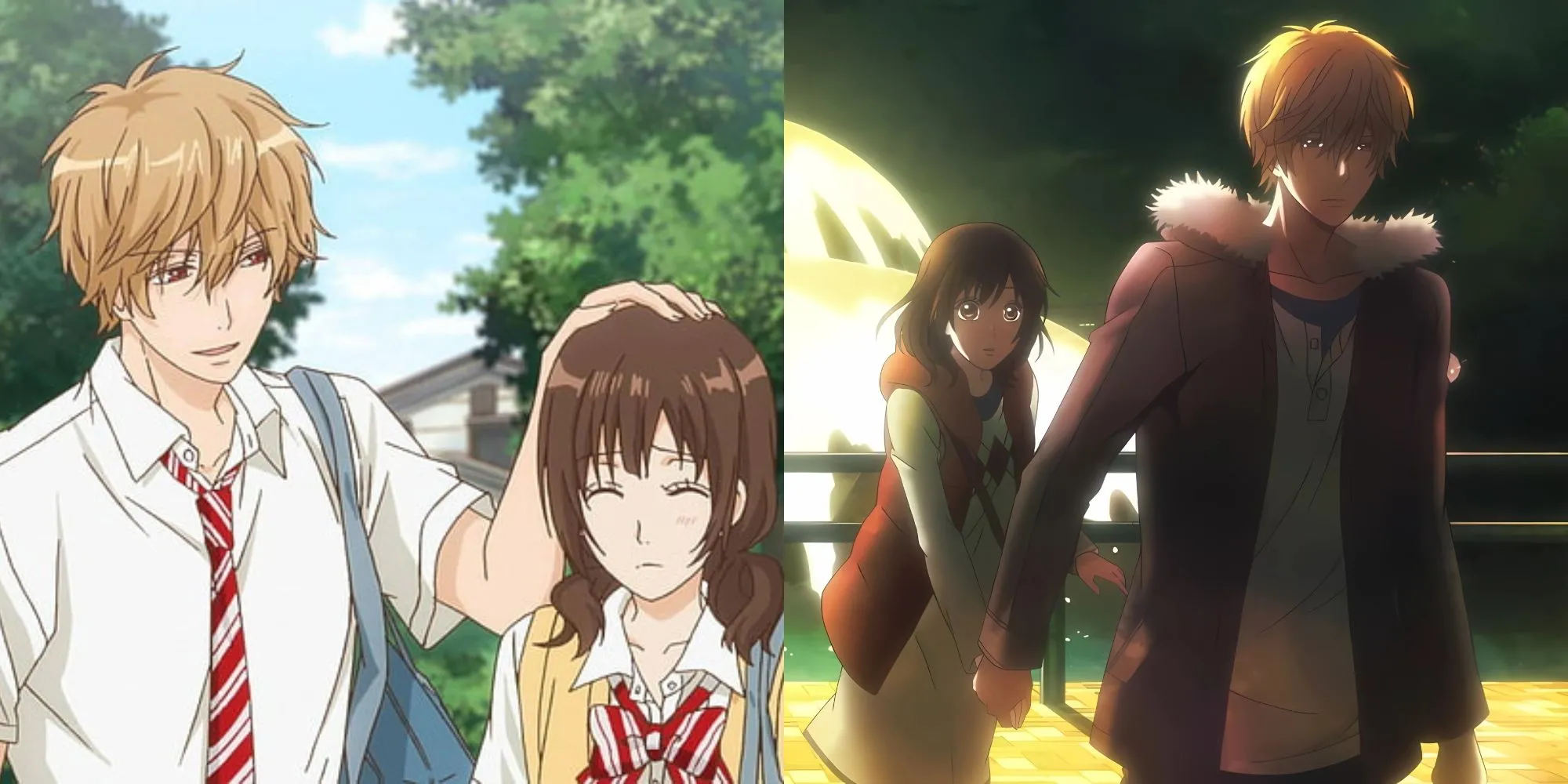 Dynamic phức tạp giữa Kyouya Sata và Erika Shinohara trong Wolf Girl &amp; Black Prince