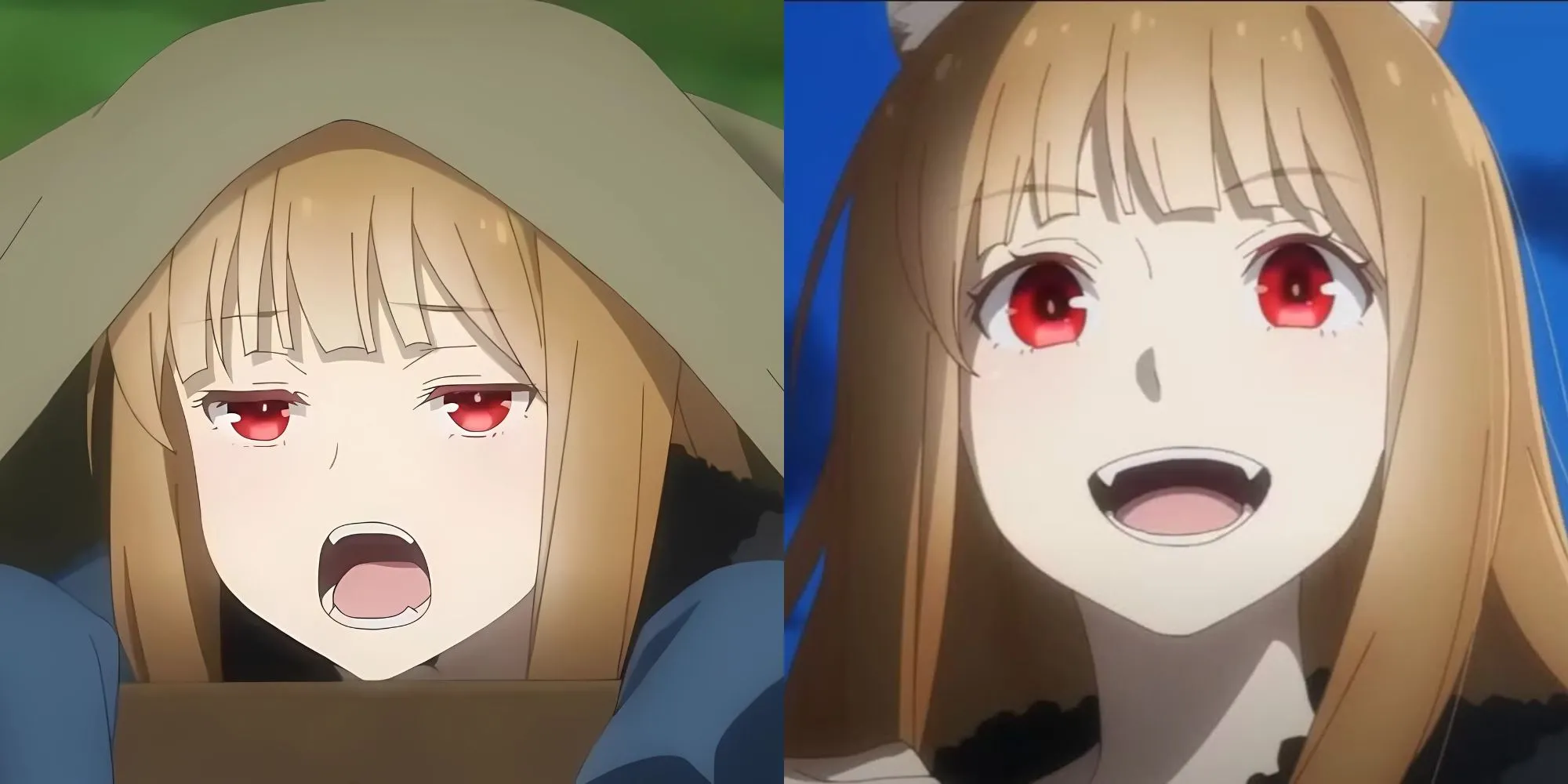 Holo với nụ cười ranh mãnh, thể hiện trí tuệ kinh doanh sắc sảo trong Spice and Wolf