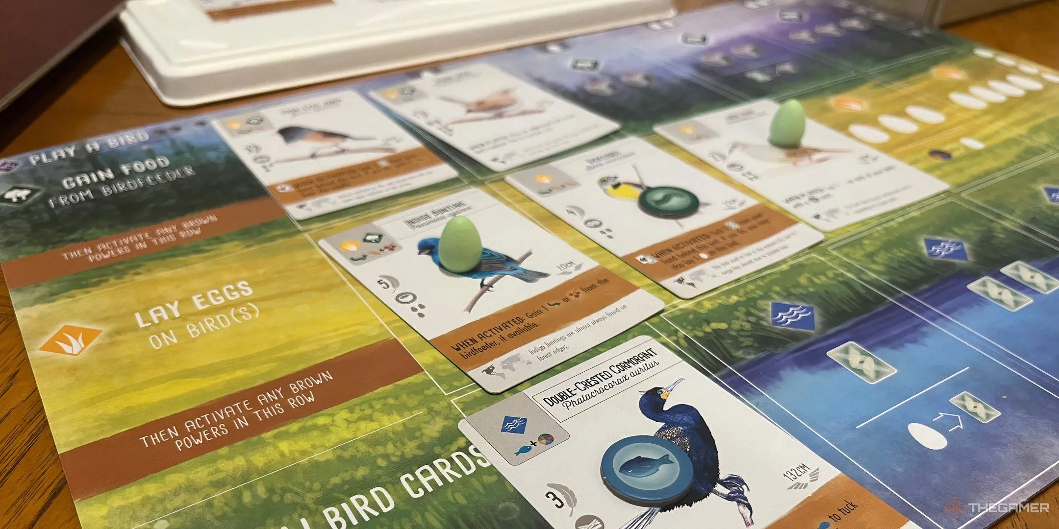 Bàn chơi game Wingspan với các lá bài chim và khay đựng trứng đầy màu sắc