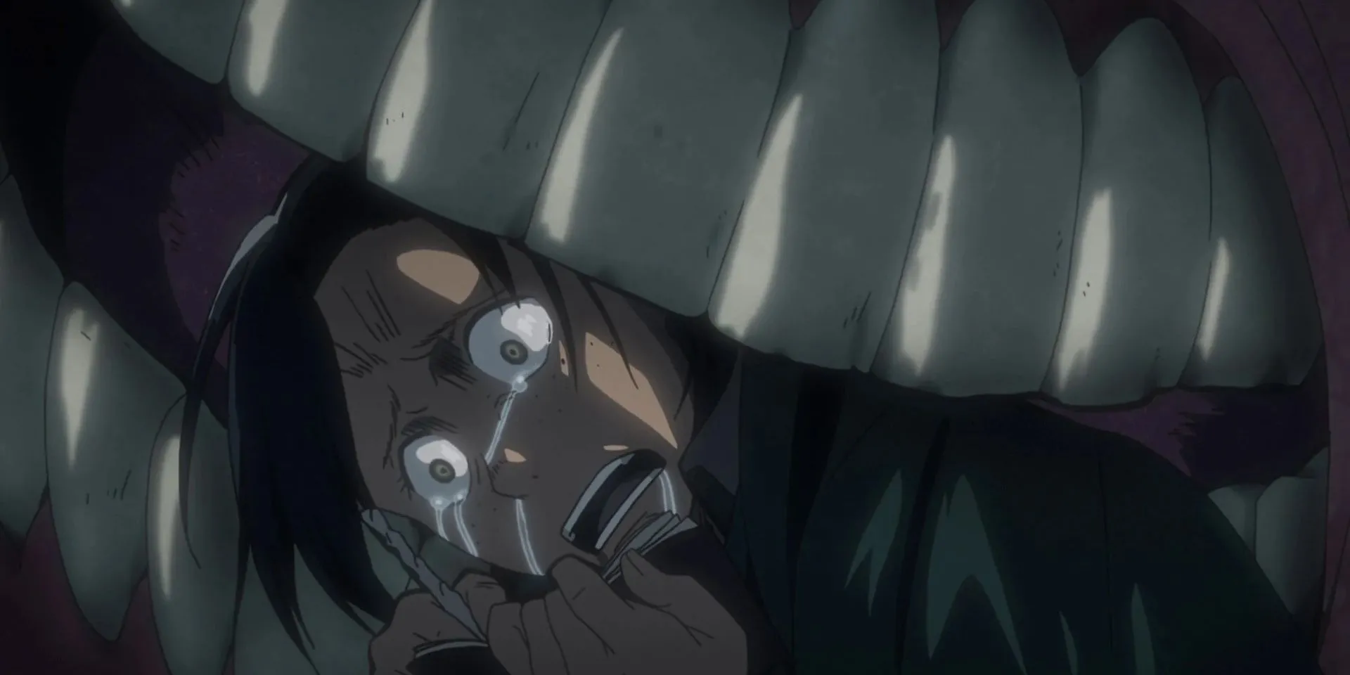 Ilse Langnar và nhật ký cuối cùng tìm thấy bên ngoài tường thành